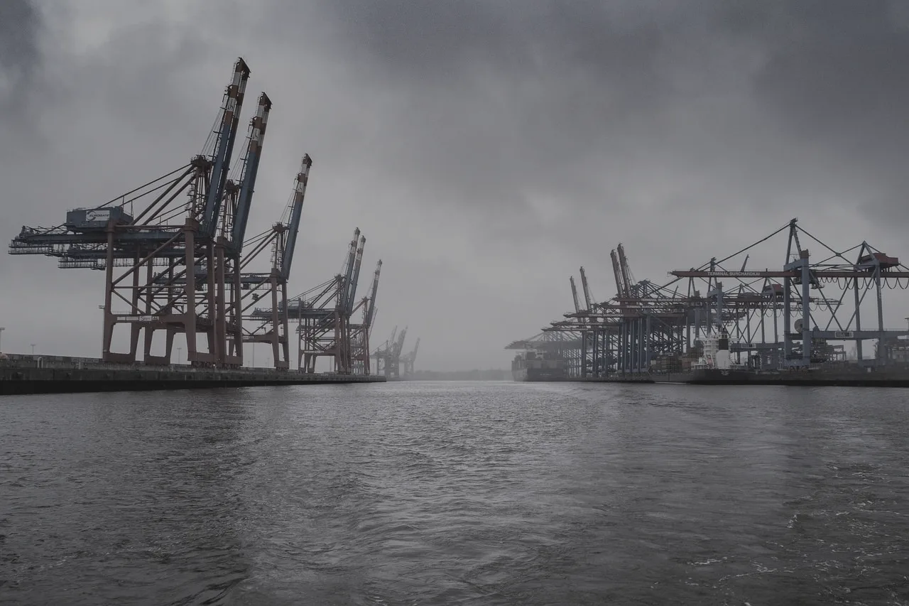 Container cranes standing in fog across a wide harbour